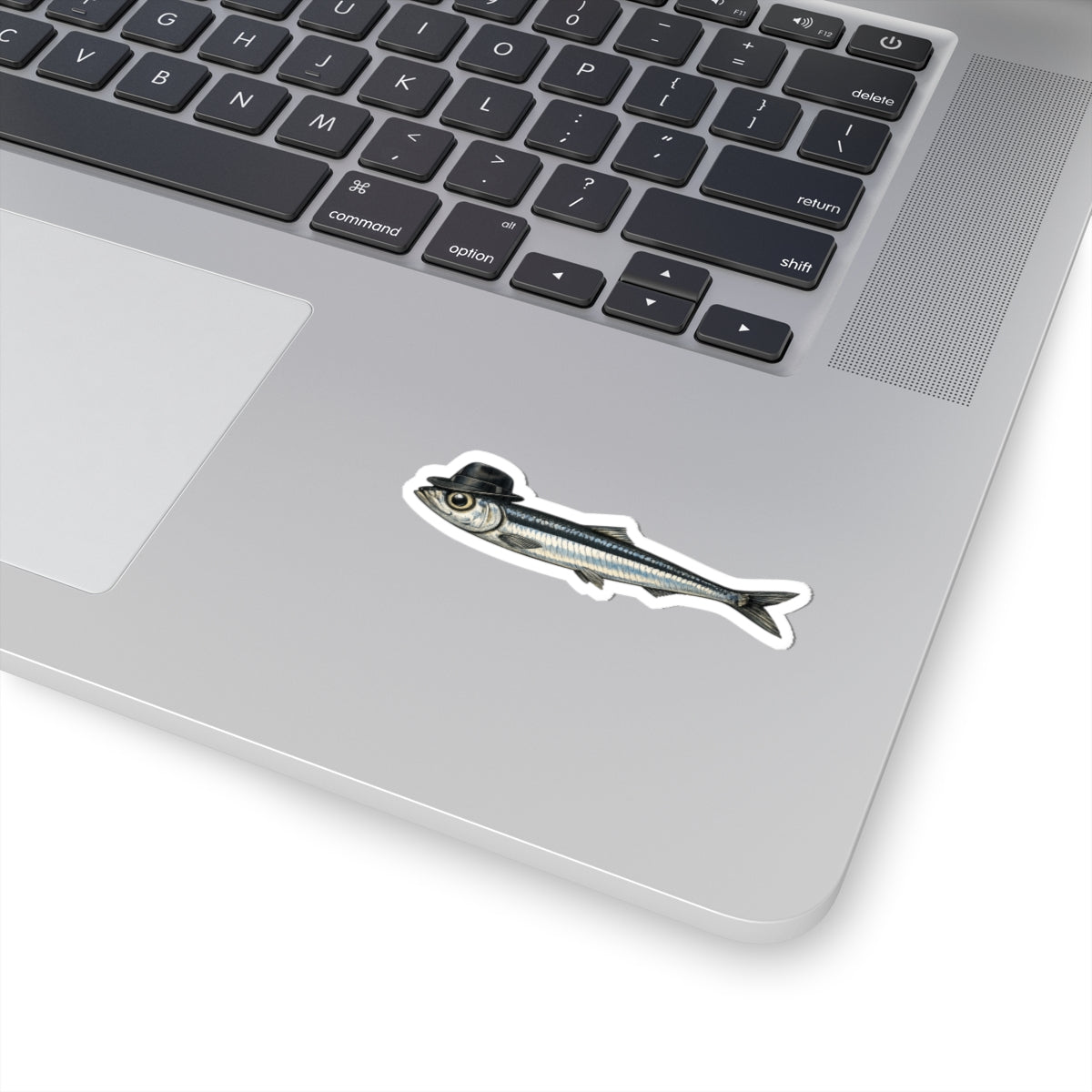 Anchovy Fedora Sticker