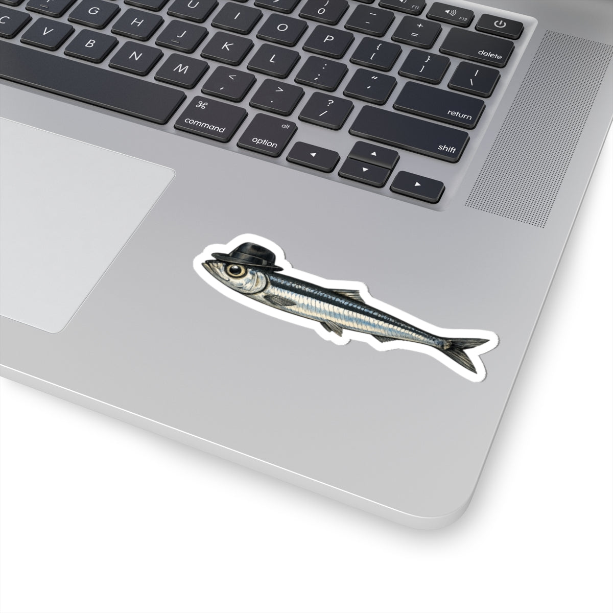 Anchovy Fedora Sticker