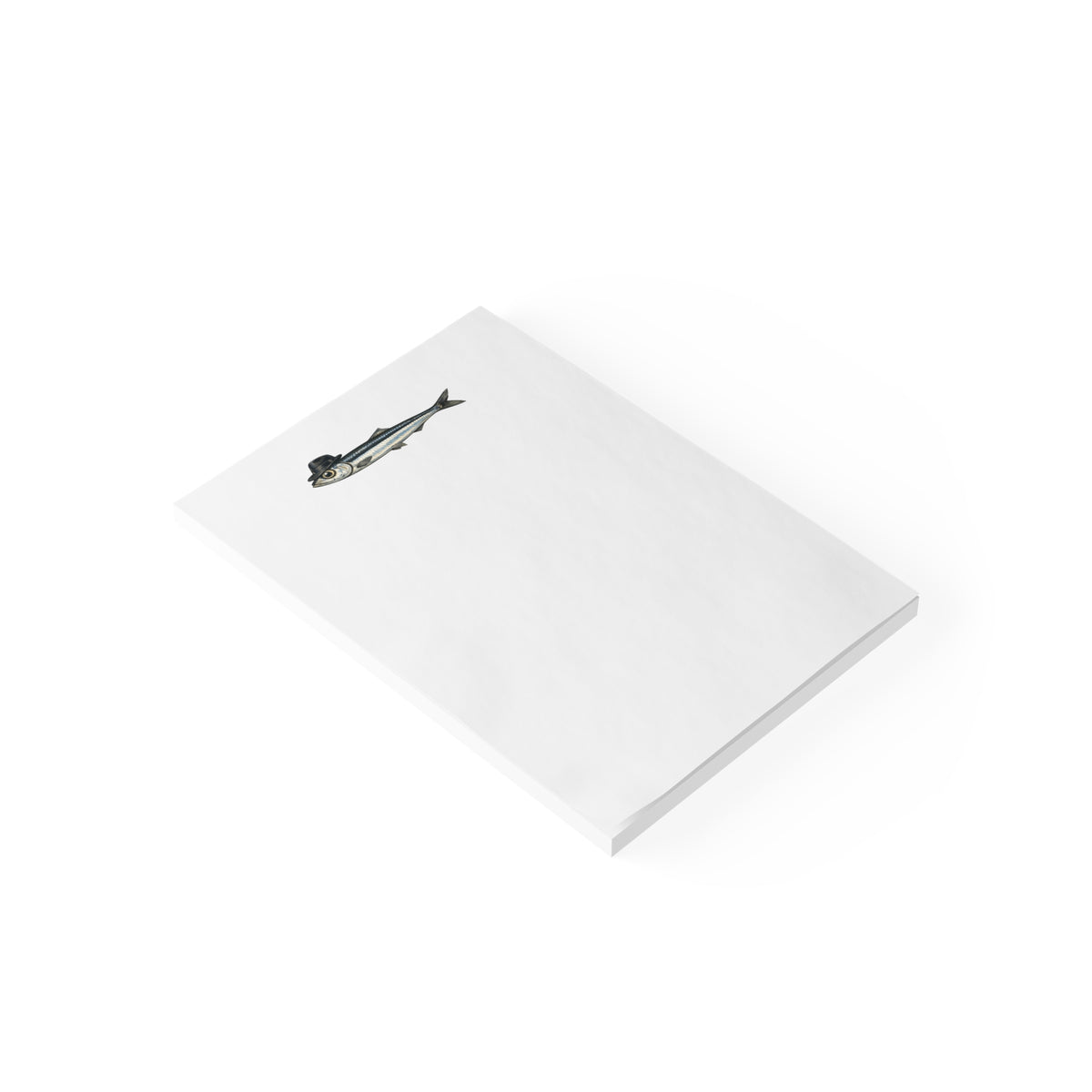 Quirky Fish Sticky Notes 4x6